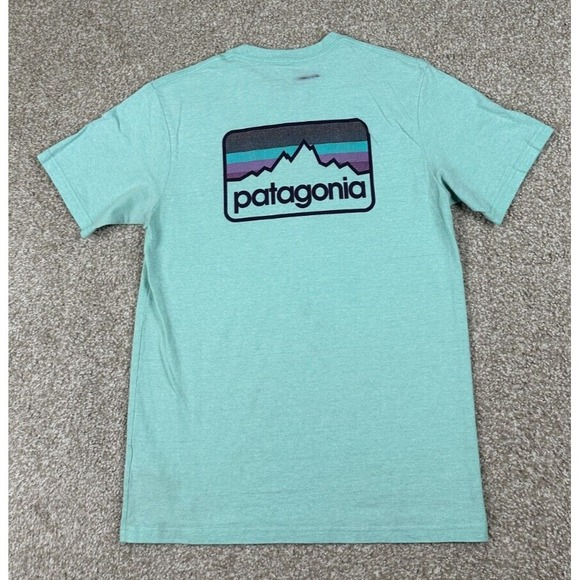 Patagonia Other - Patagonia T-Shirt Mens Small Green Responsibili-Tee Short Sleeve Graphic Outdoor